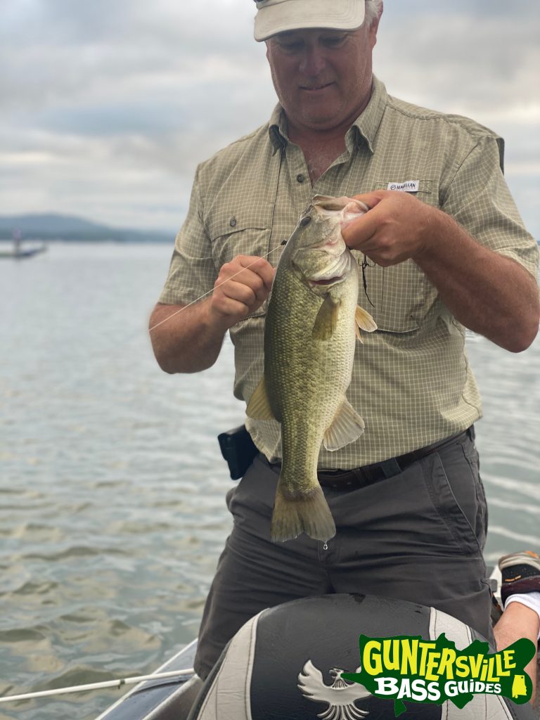 GUNTERSVILLE BASS GUIDES