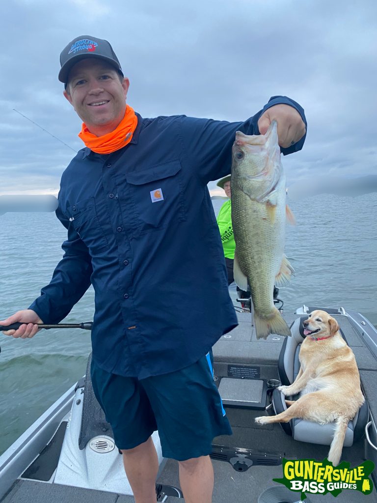GUNTERSIVLLE BASS GUIDES
