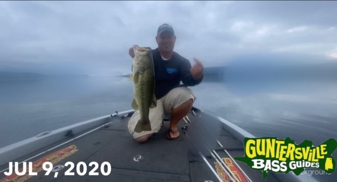 GUNTERSIVLLE BASS GUIDES