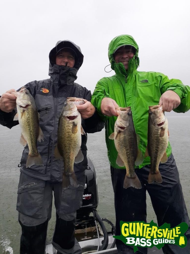 GUNTERSVILLE BASS GUIDES
