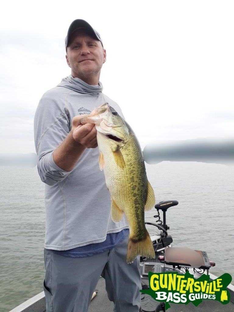 GUNTERSVILLE BASS GUIDES