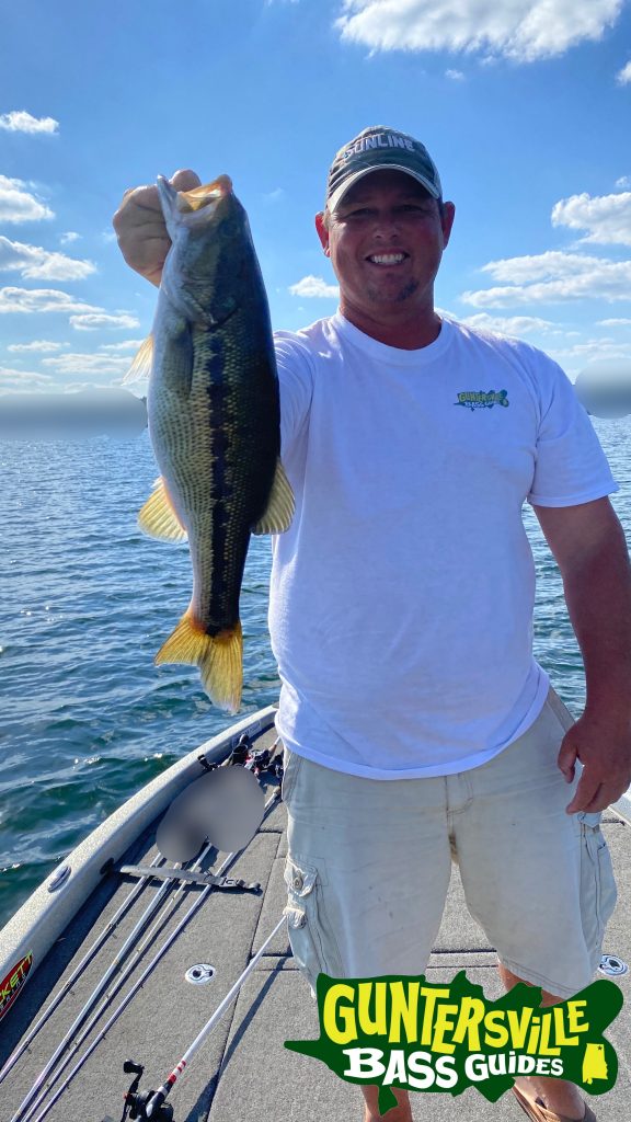 GUNTERSVILLE BASS GUIDES