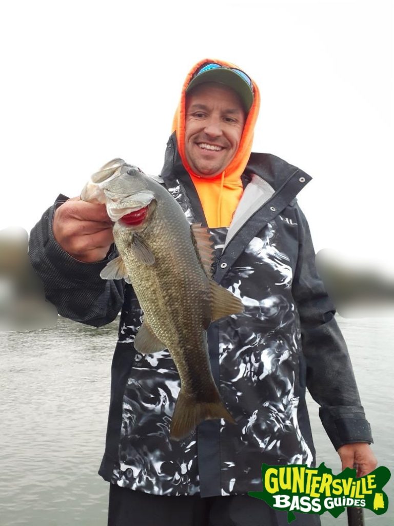 GUNTERSVILLE BASS GUIDES