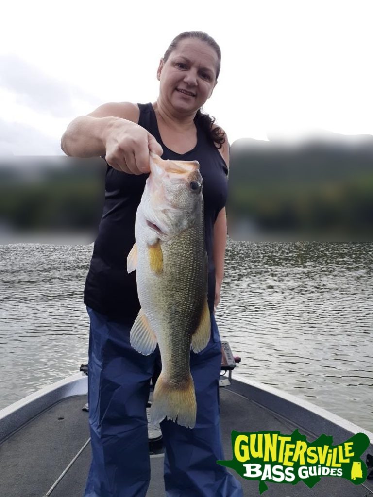 GUNTERSVILLE BASS GUIDES