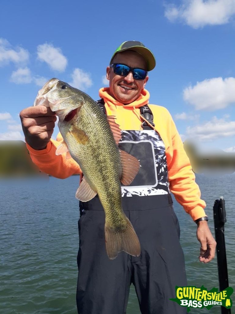 GUNTERSVILLE BASS GUIDES