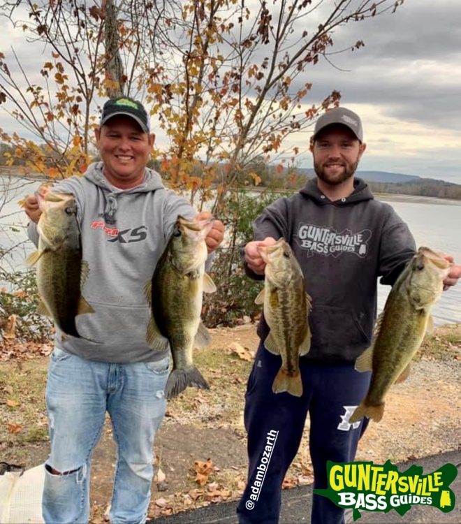 GUNTERSVILLE BASS GUIDES