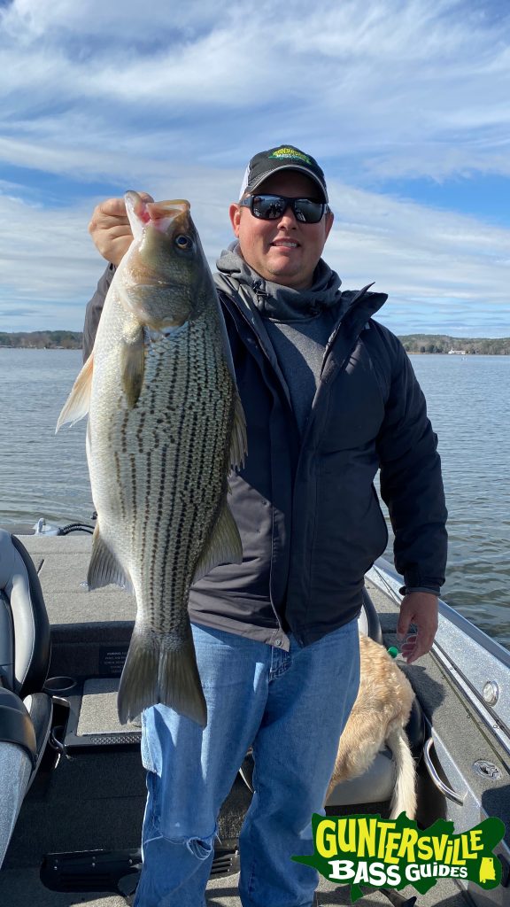 Guntersville Bass Guides
