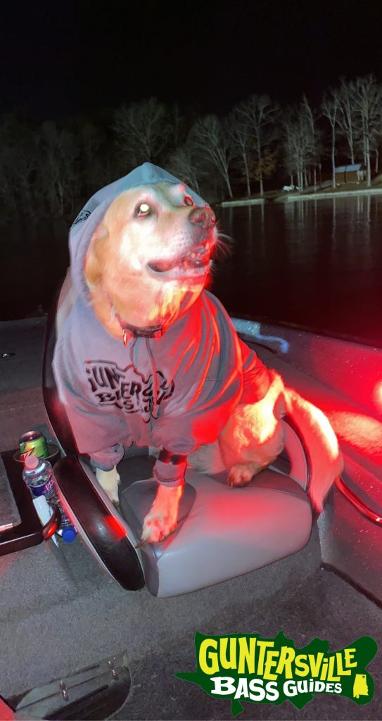 Guntersville Bass Guides