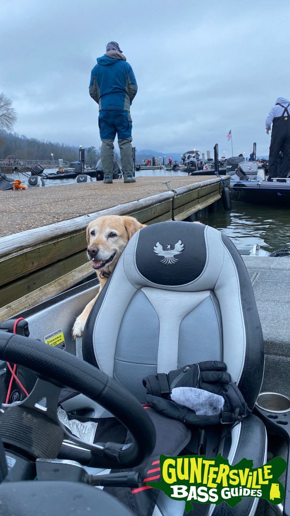 Guntersville Bass Guides