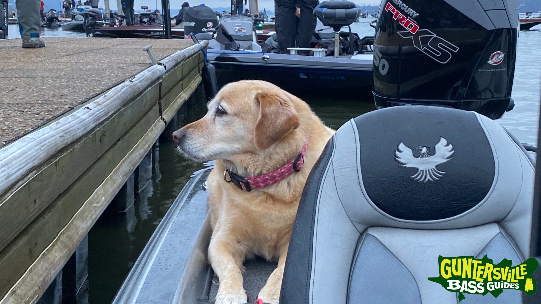 Guntersville Bass Guides