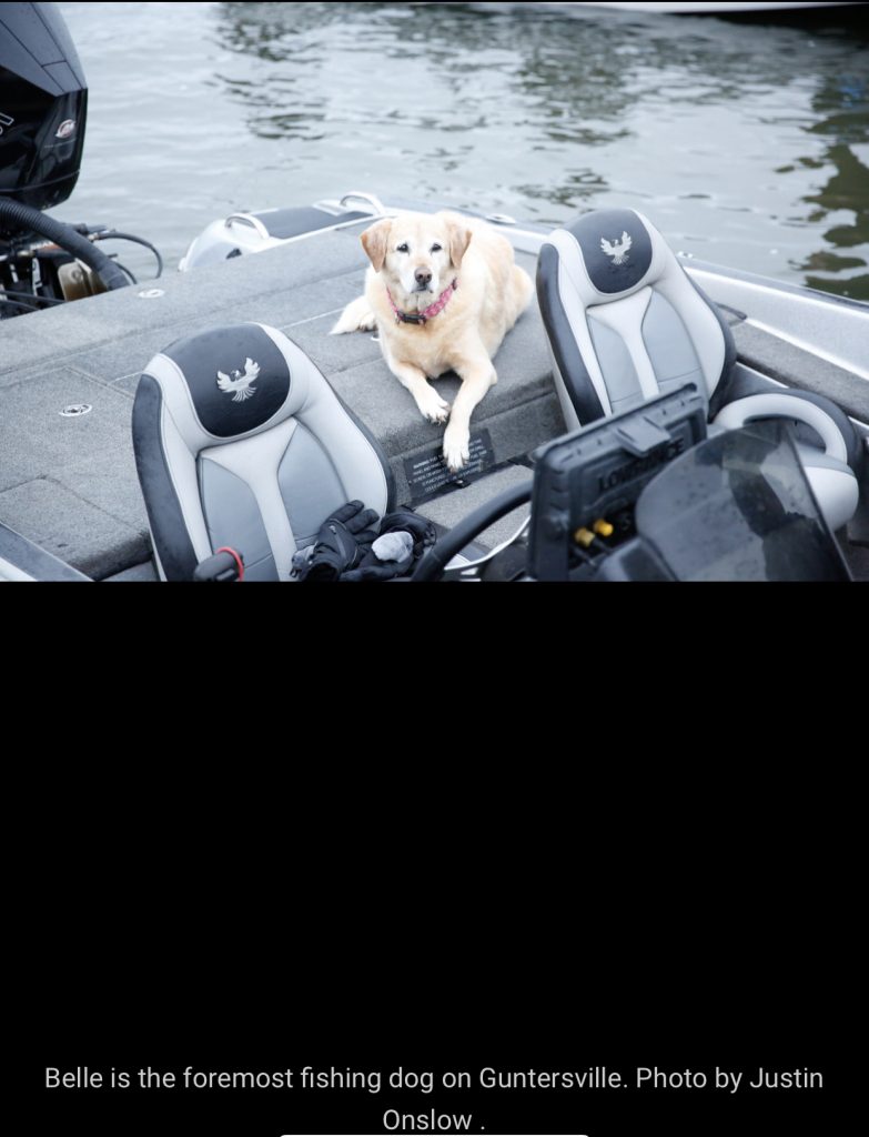 Guntersville Bass Guides
