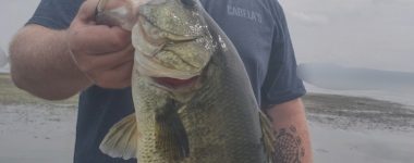 Guntersville Bass Guides