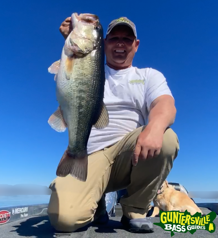 GUNTERSVILLE BASS GUIDES