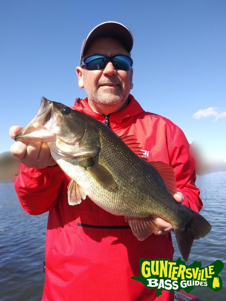 GUNTERSVILLE BASS GUIDES