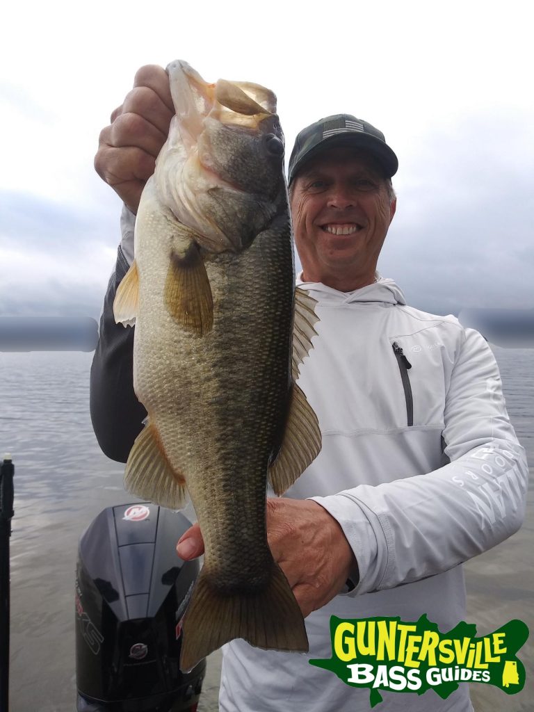 GUNTERSVILLE BASS GUIDES