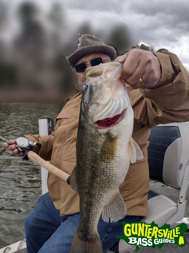 GUNTERSVILLE BASS GUIDES