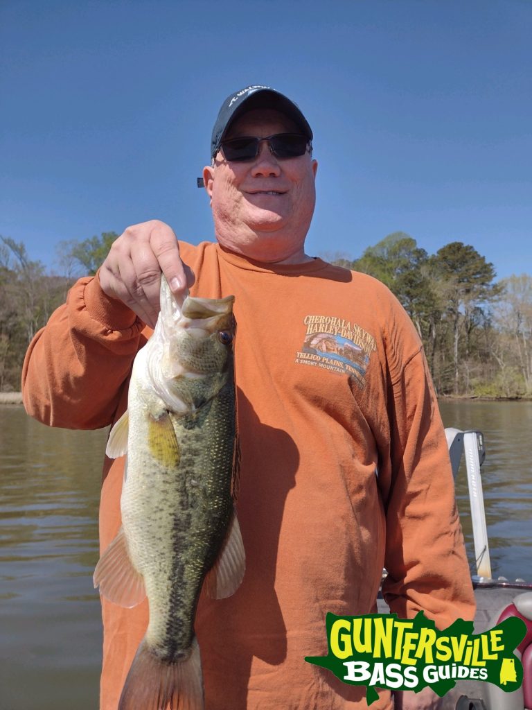 GUNTERSVILLE BASS GUIDES