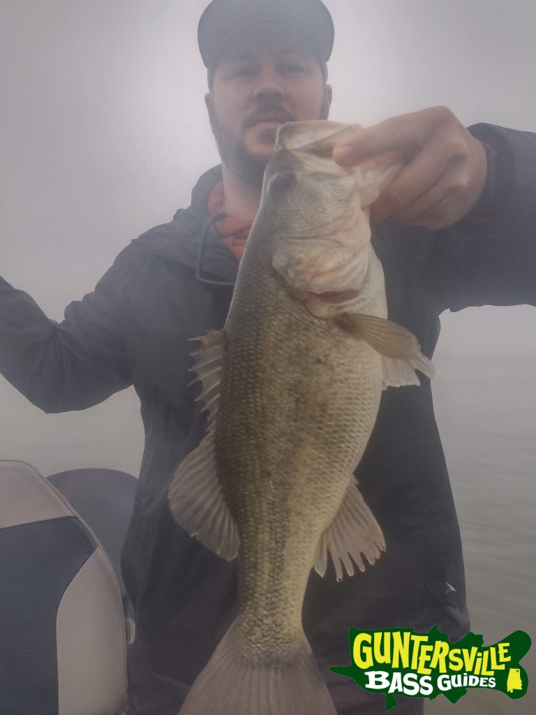 GUNTERSVILLE BASS GUIDES