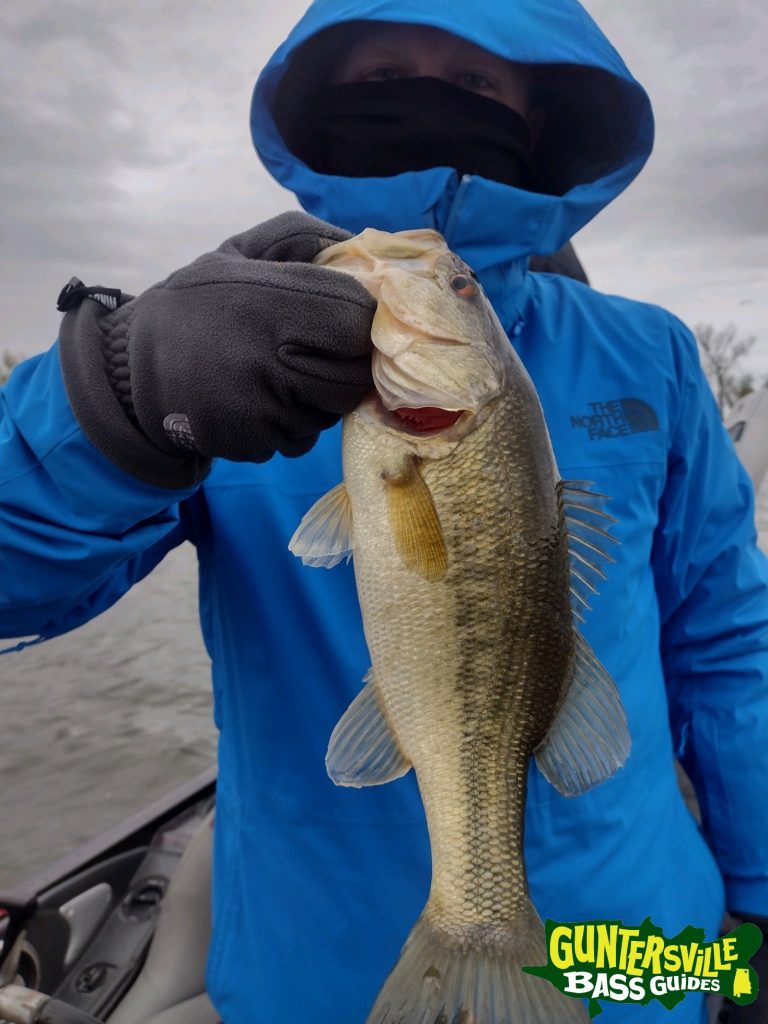 GUNTERSVILLE BASS GUIDES