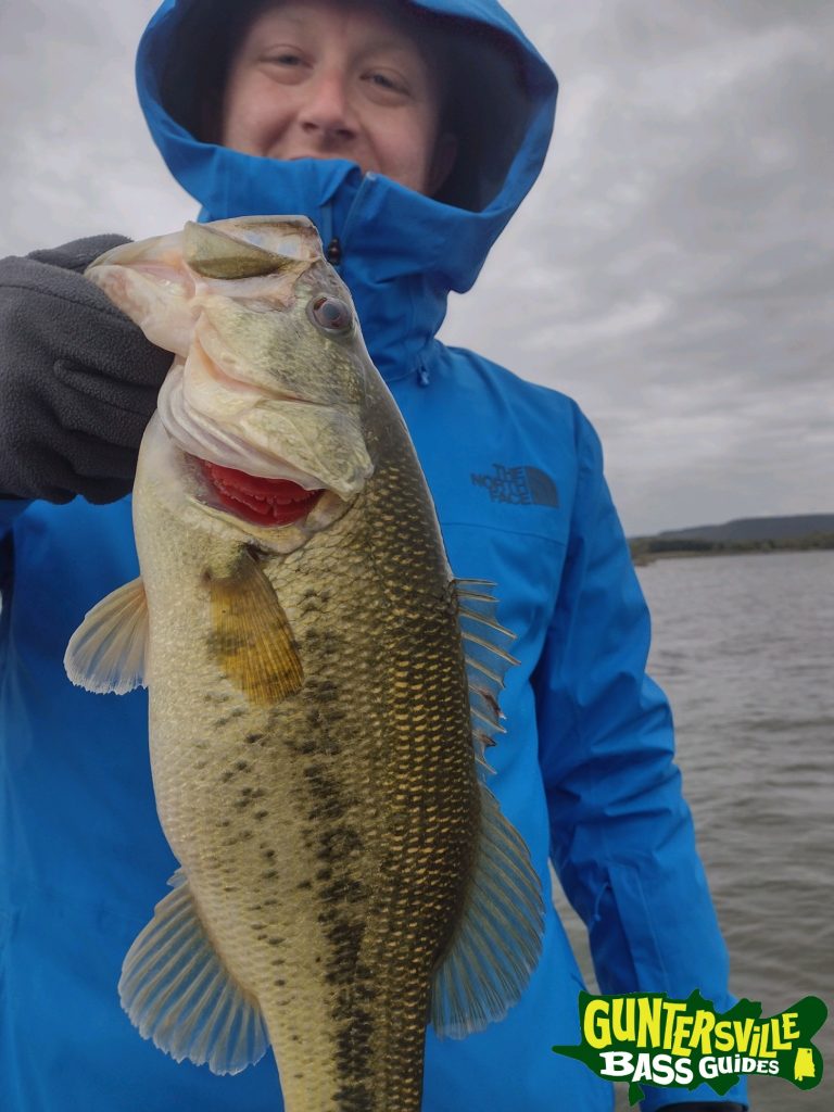 GUNTERSVILLE BASS GUIDES