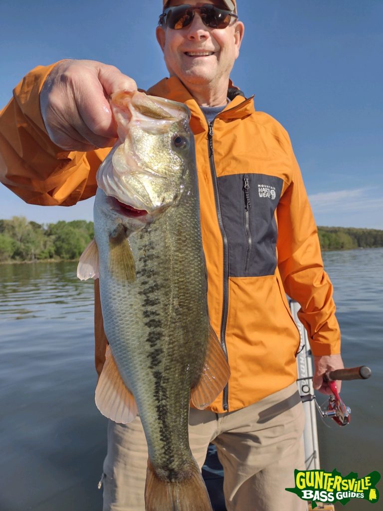 GUNTERSVILLE BASS GUIDES