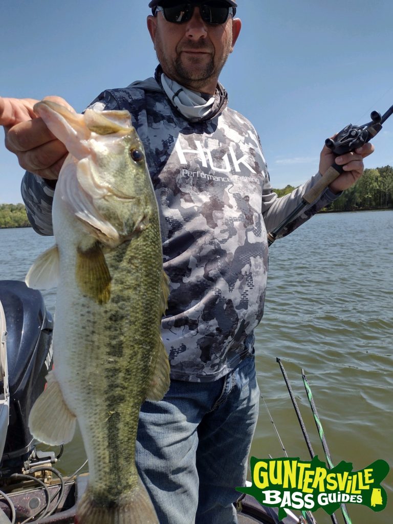 GUNTERSVILLE BASS GUIDES