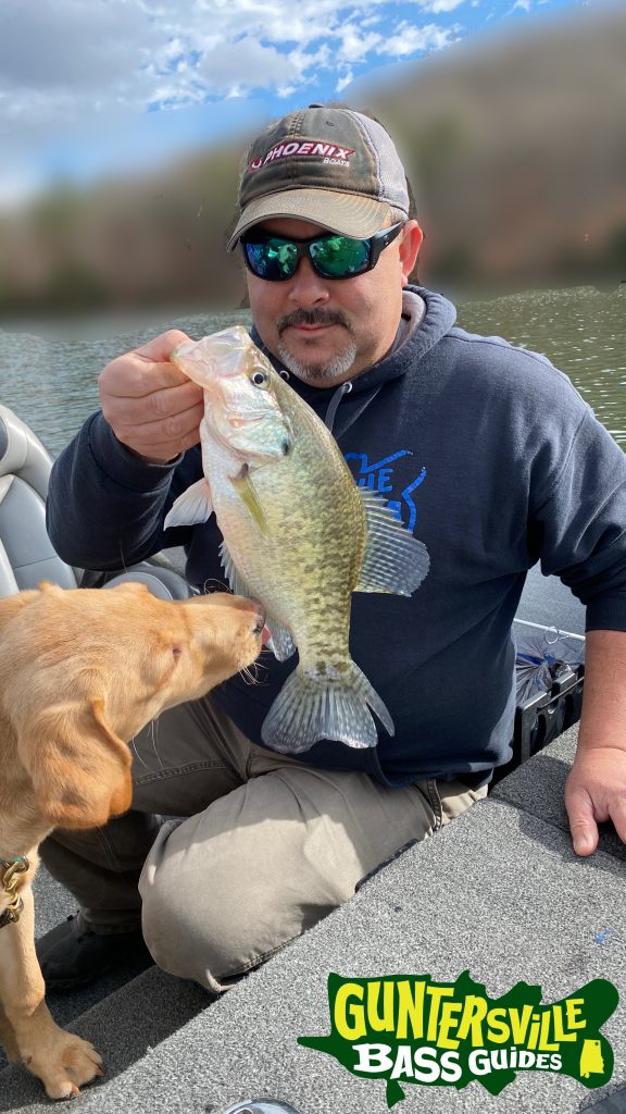 GUNTERSVILLE BASS-CRAPPIE GUIDES