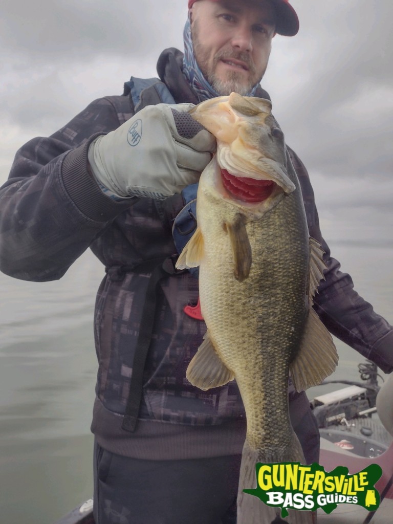 GUNTERSVILLE BASS GUIDES