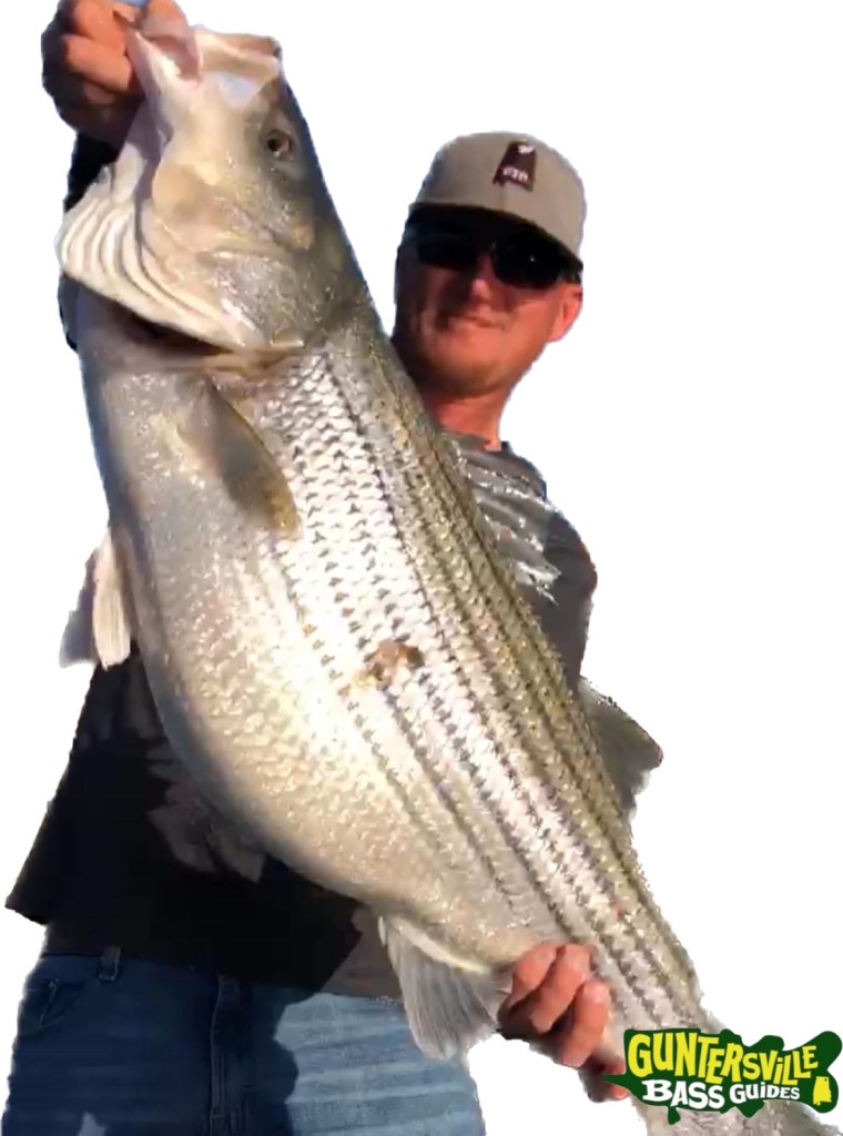 GUNTERSVILLE BASS GUIDES
