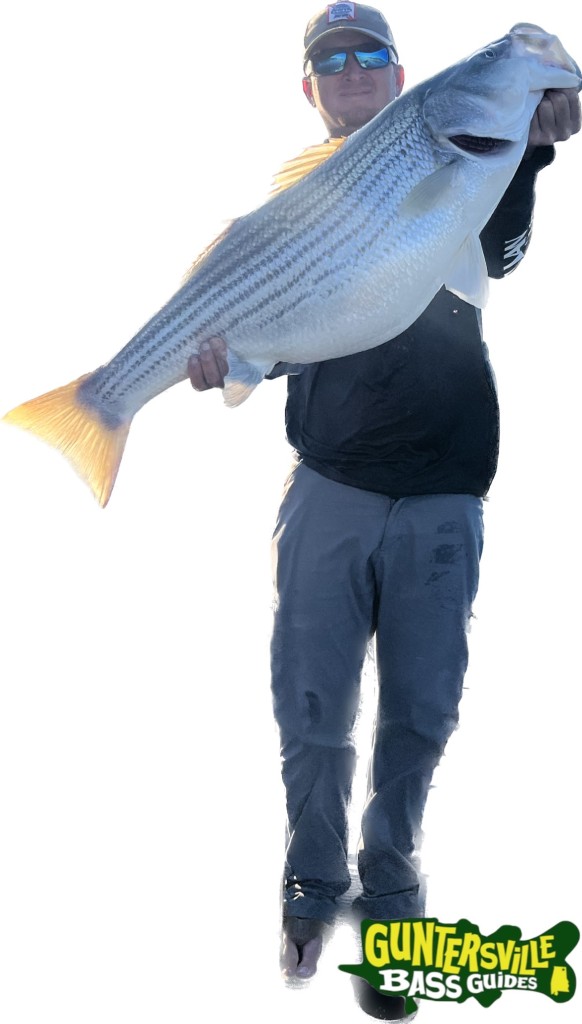 GUNTERSVILLE BASS GUIDES