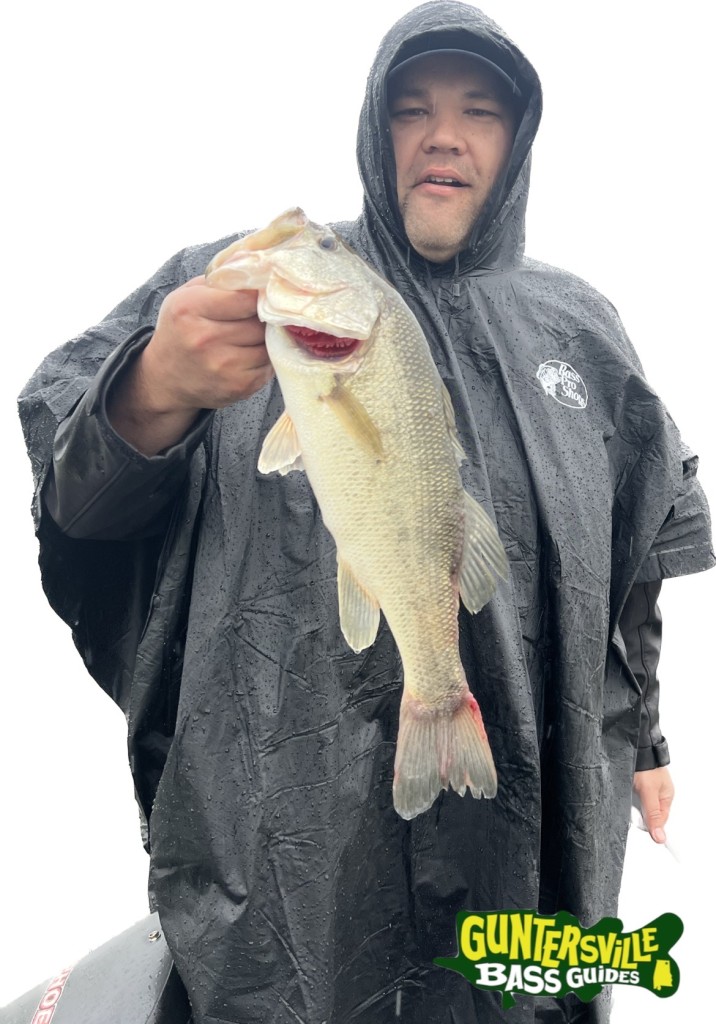 GUNTERSVILLE BASS GUIDES