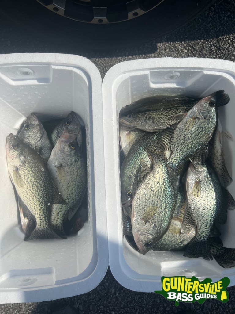 GUNTERSVILLE BASS GUIDES