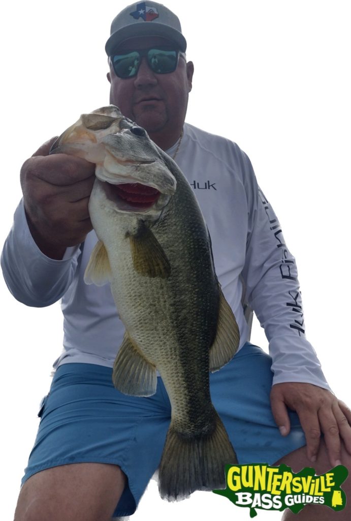 GUNTERSVILLE BASS GUIDES