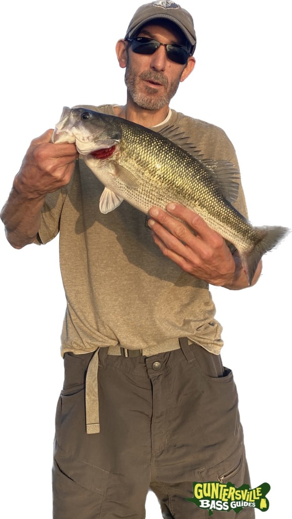 GUNTERSVILLE BASS GUIDES