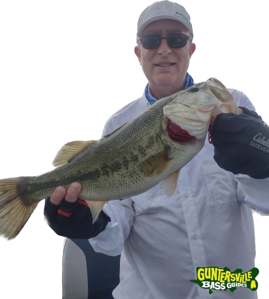 GUNTERSVILLE BASS GUIDES