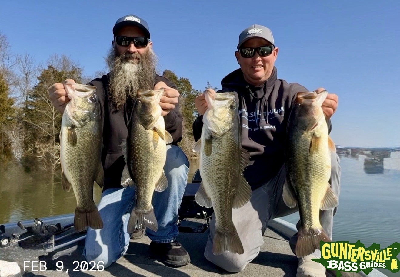 2026 Lake Guntersville bass fishing highlights