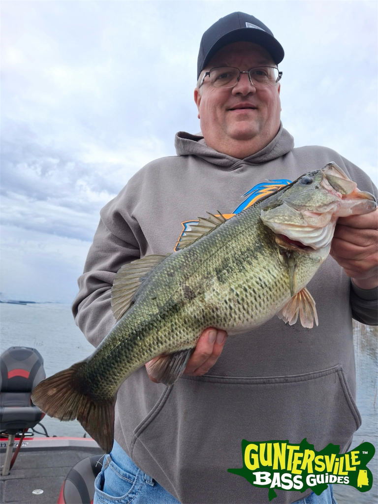Big Bass On Lake Guntersville With Best Guide Service Guntersville Bass Guides