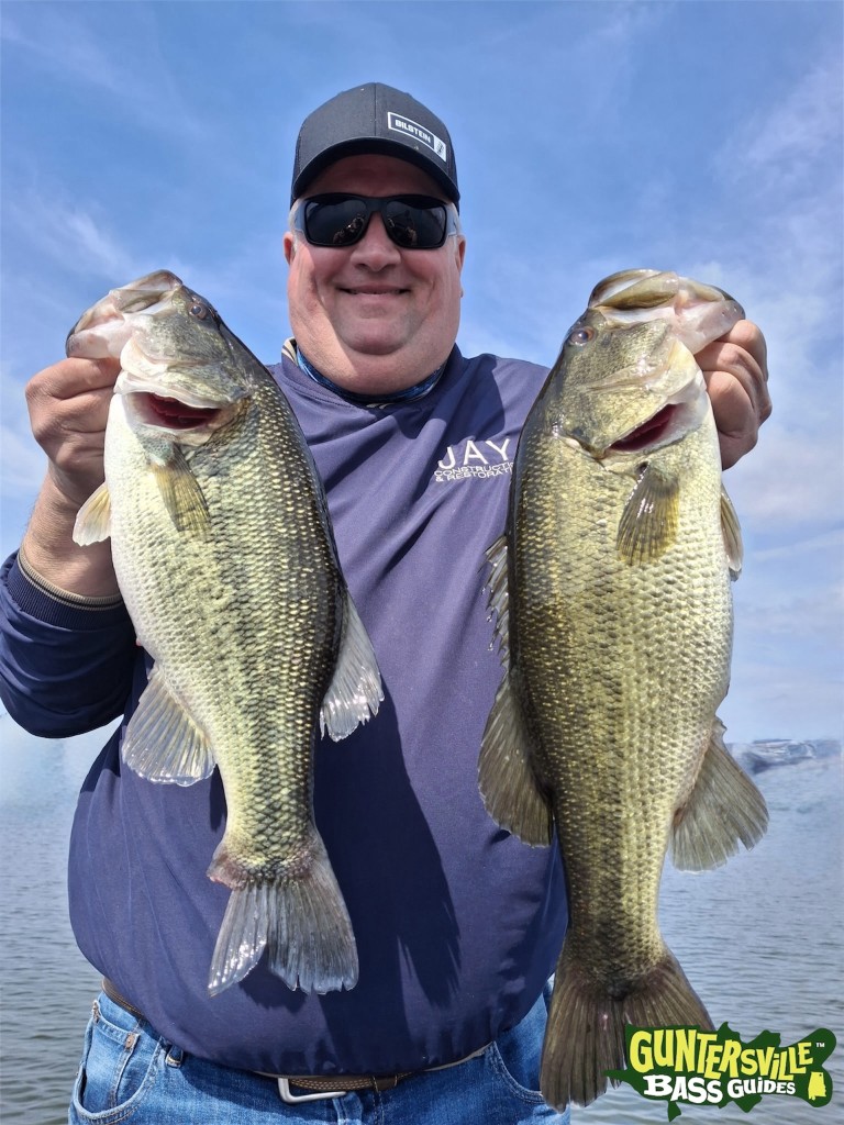 Big Bass On Lake Guntersville With Best Guide Service Guntersville Bass Guides