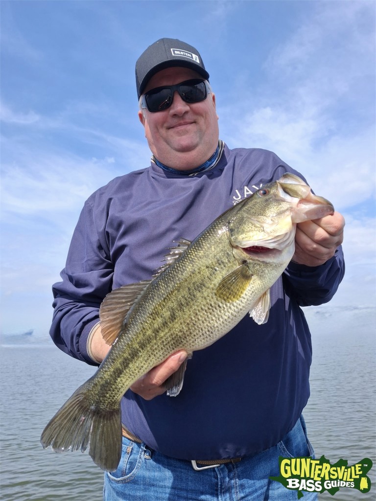 Big Bass On Lake Guntersville With Best Guide Service Guntersville Bass Guides