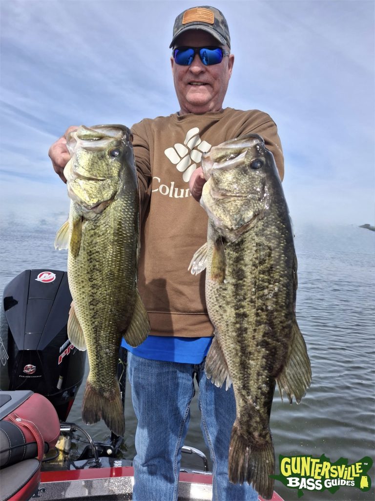 Lake Guntersville bass from a Capt. Phillip Criss trip