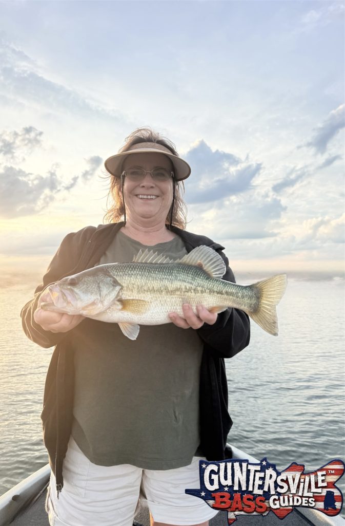 Better Lake Guntersville bass caught during the May transition