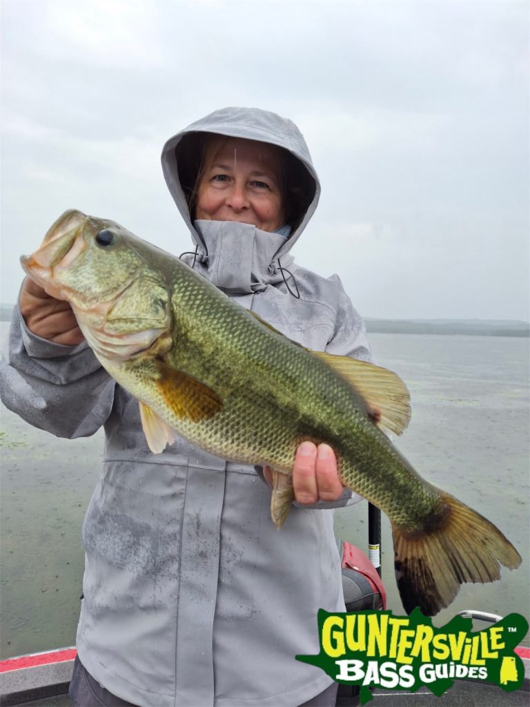 Heat, Current, And Offshore Bass | Lake Guntersville Fishing