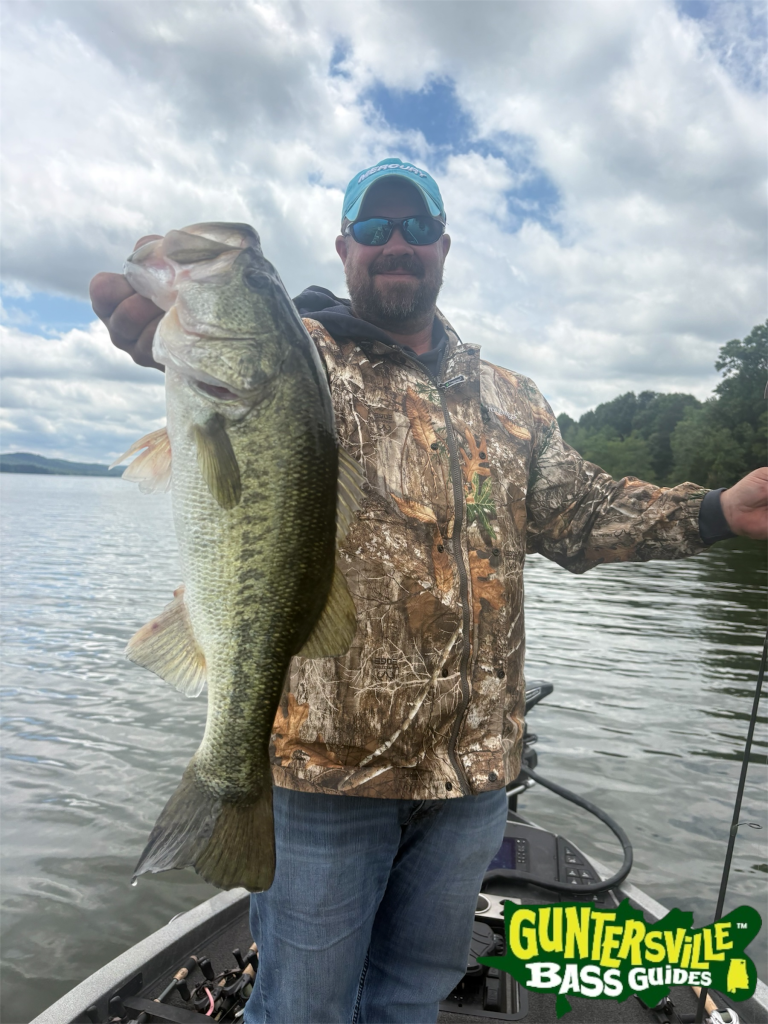 Lake Guntersville bass fishing report May 2026 with Guntersville Bass Guides
