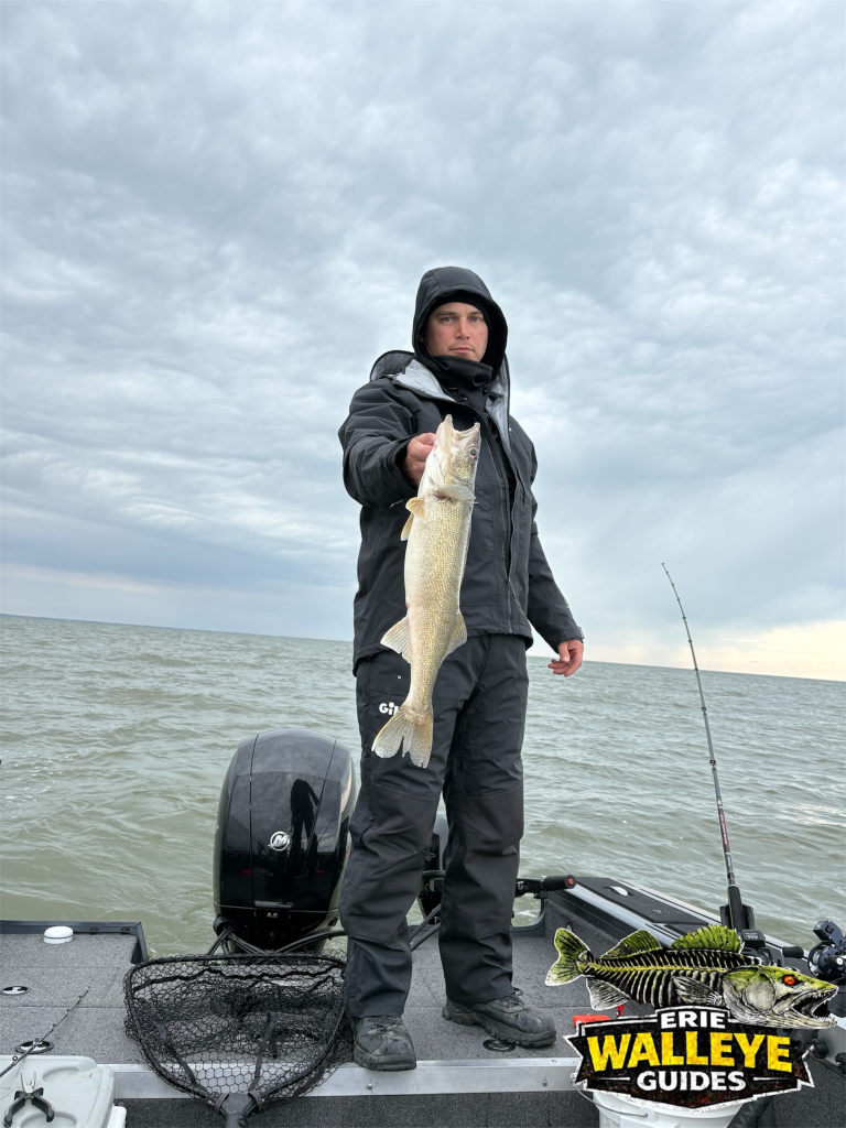 Western Basin walleye charter