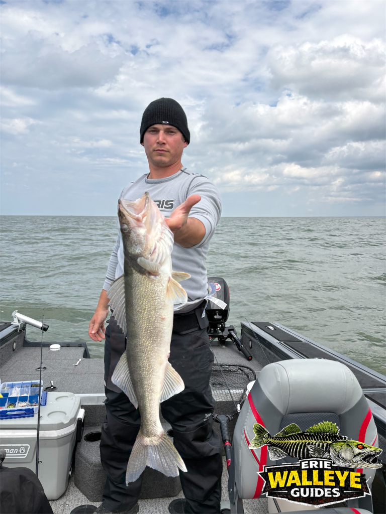 Lake Erie walleye charter