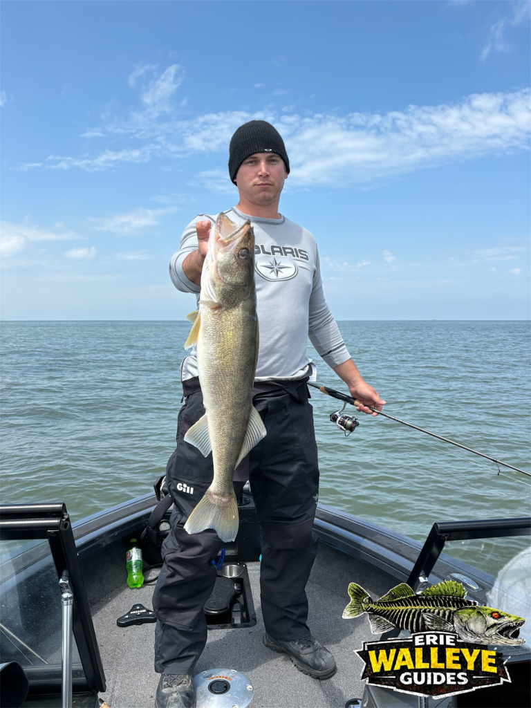 Lake Erie walleye fishing