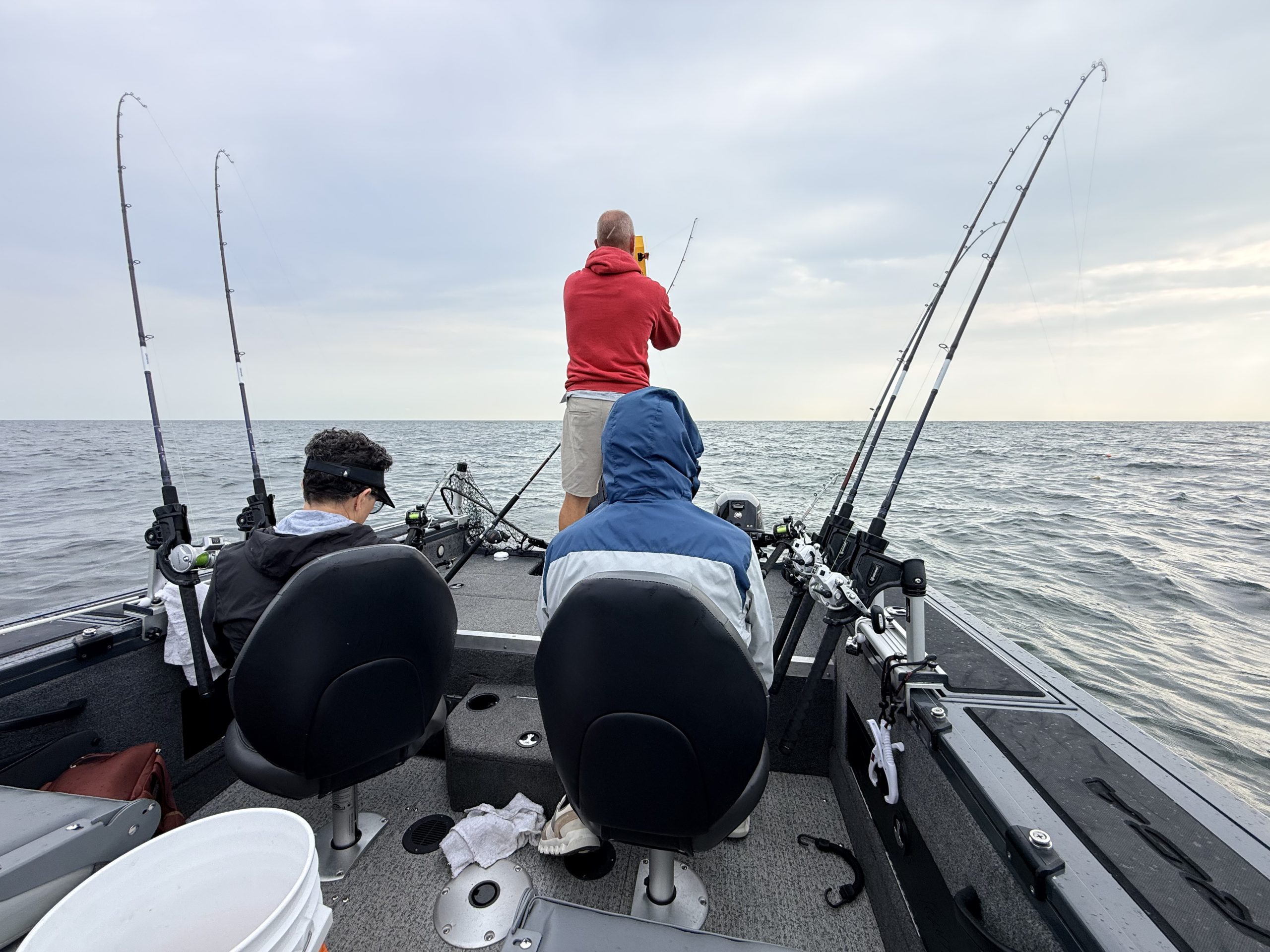 Walleye caught during a Lake Erie guided fishing trip