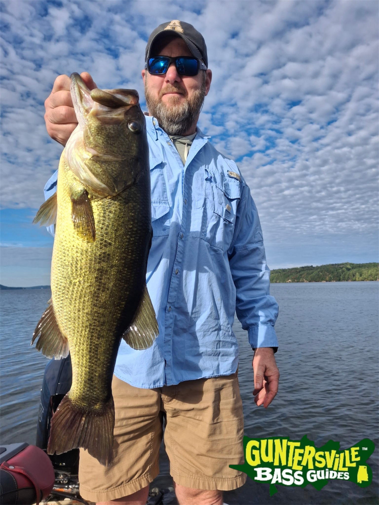 Healthy Lake Guntersville largemouth bass during October